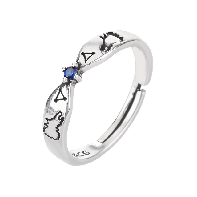 Adjustable Unisex Rings WEM Support (www.WEM.support)