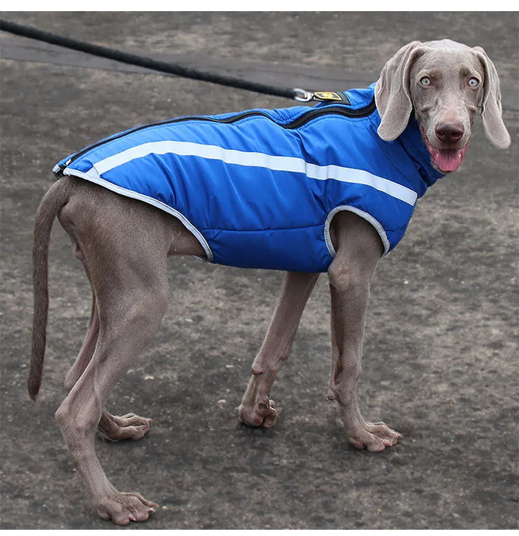 Thickened dog clothes windproof pet jacket WEM Support (www.WEM.support)