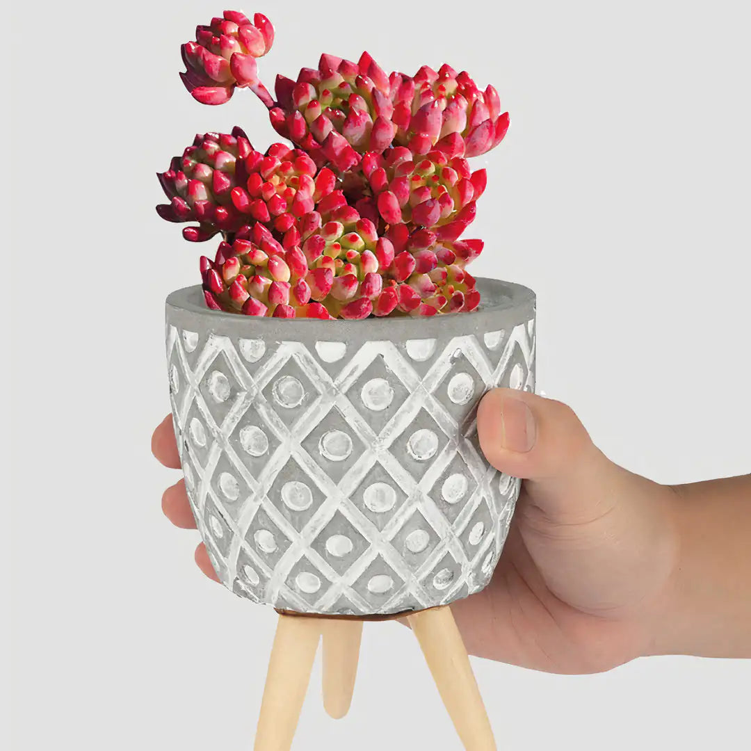 Aztec Planters Set of 2 WEM Support (www.WEM.support)