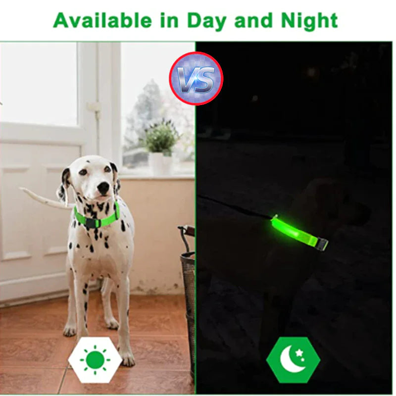 LED Adjustable Dog Collar Blinking Flashing Light Up Glow Pets Safety Waterproof WEM Support (www.WEM.support)