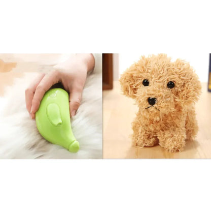 3-in-1 Pet Steam Brush WEM Support (www.WEM.support)