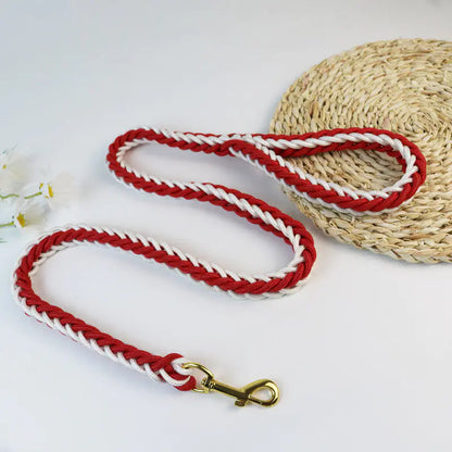 Eight-Strand Adventure Dog Leash HejK.com Marketplace LLC