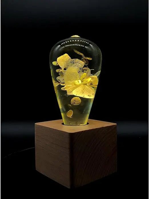 HydraGlow Lamp - Catch Cards