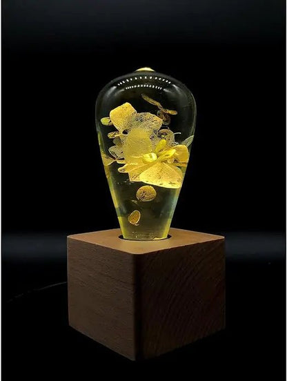 HydraGlow Lamp - Catch Cards