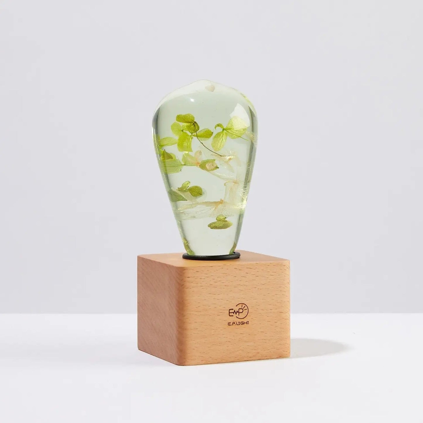 HydraGlow Lamp - Catch Cards