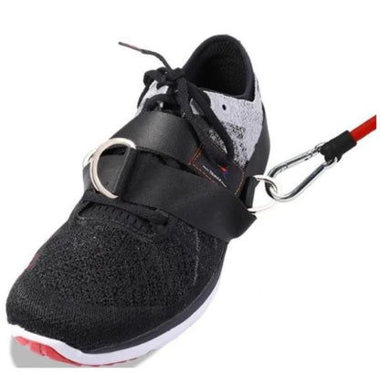 Komplettes Beintraining Universal-Mehrring-Gurte WEM Support (www.WEM.support)