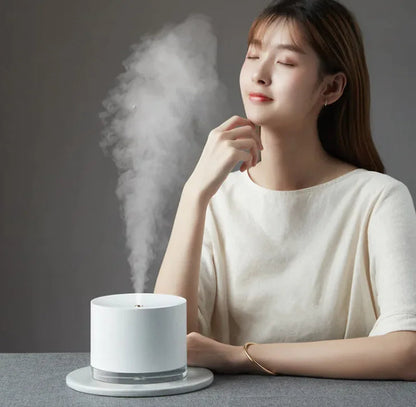 Aromatherapy Humidifier WEM Support (www.WEM.support)