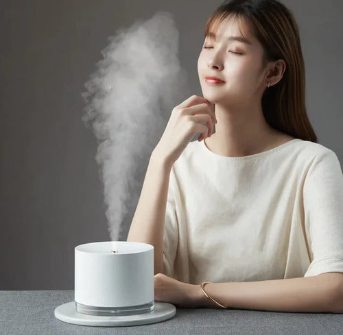 Aromatherapy Humidifier WEM Support (www.WEM.support)