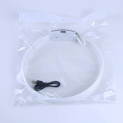 Glowing Equine LED Pet Collar HejK.com Marketplace LLC