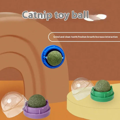 Catnip Ball Cat Toy WEM Support (www.WEM.support)