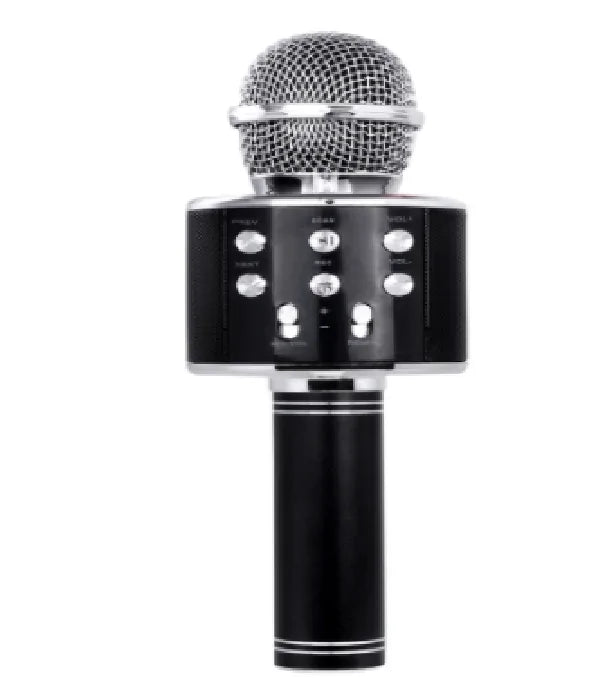 Microfone do Artista e Caixa de Música WEM Support (www.WEM.support)