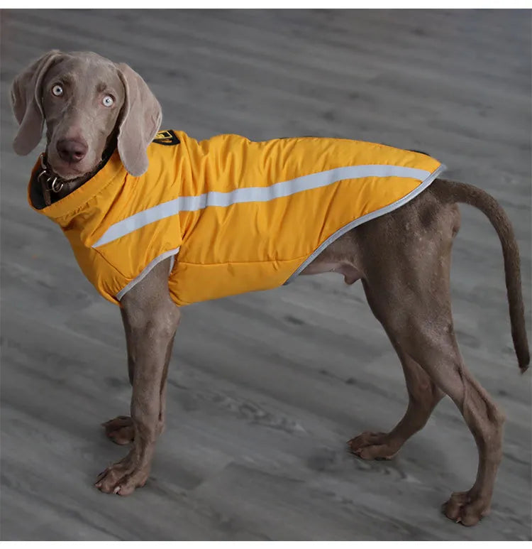 Thickened dog clothes windproof pet jacket WEM Support (www.WEM.support)