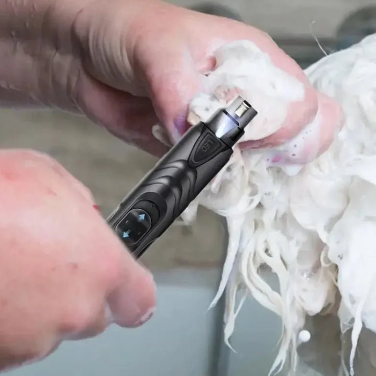 Lixadora de Unhas PawGlow - Catch Cards