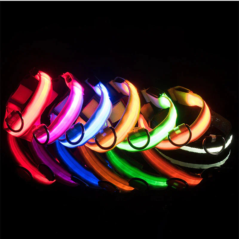 LED Adjustable Dog Collar Blinking Flashing Light Up Glow Pets Safety Waterproof WEM Support (www.WEM.support)