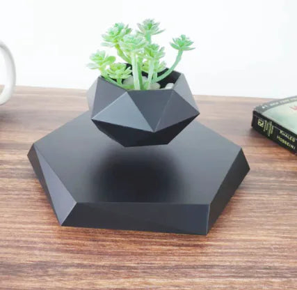 Magnetic Floating Flower Pot WEM Support (www.WEM.support)
