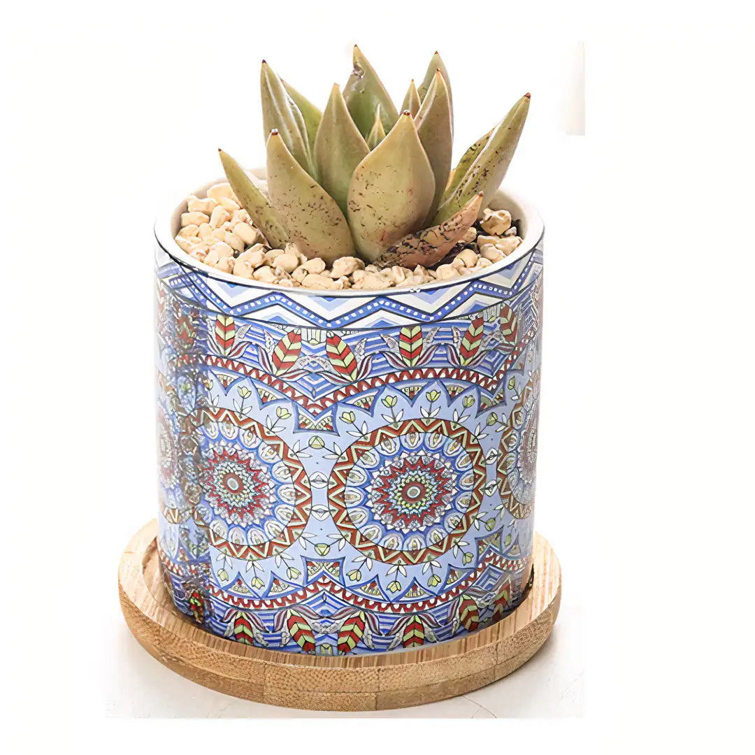 Mandala Planter Set of 4 WEM Support (www.WEM.support)