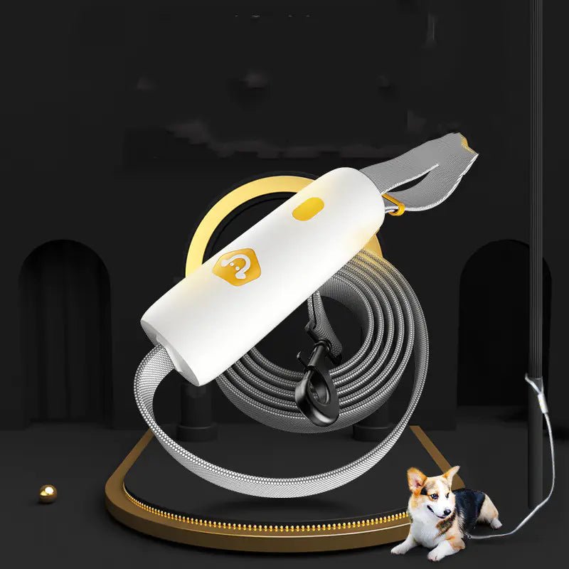 Medium and Large Dog Leash - Catch Cards