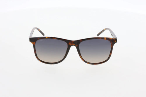 Hawk 2182 02 Men's Sunglasses WEM Support (www.WEM.support)