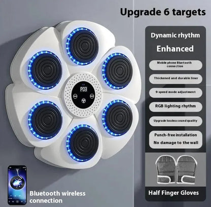 Wireless Boxing Exercise Kit WEM Support (www.WEM.support)