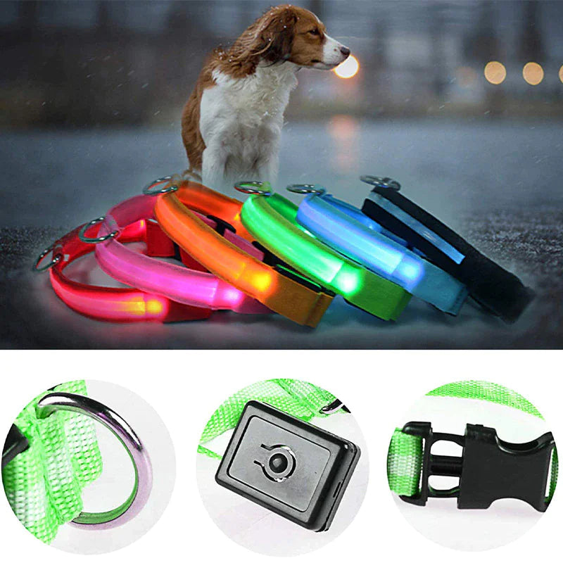 LED Adjustable Dog Collar Blinking Flashing Light Up Glow Pets Safety Waterproof WEM Support (www.WEM.support)