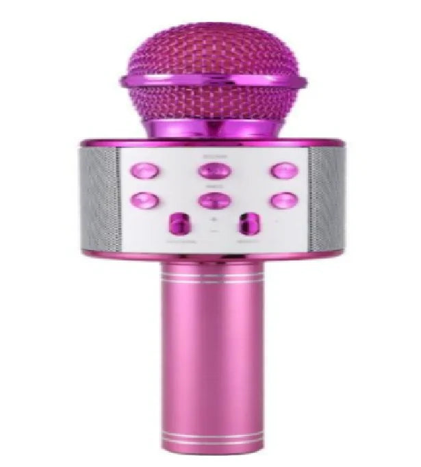 Microfone do Artista e Caixa de Música WEM Support (www.WEM.support)