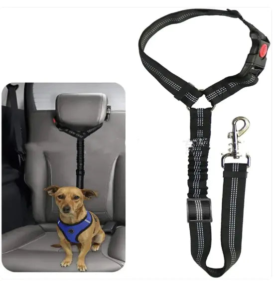 Pet Car Harness WEM Support (www.WEM.support)