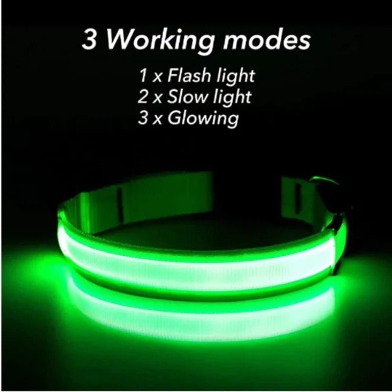LED Adjustable Dog Collar Blinking Flashing Light Up Glow Pets Safety Waterproof WEM Support (www.WEM.support)