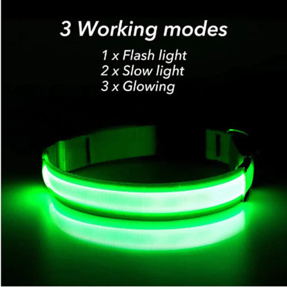 LED Adjustable Dog Collar Blinking Flashing Light Up Glow Pets Safety Waterproof WEM Support (www.WEM.support)