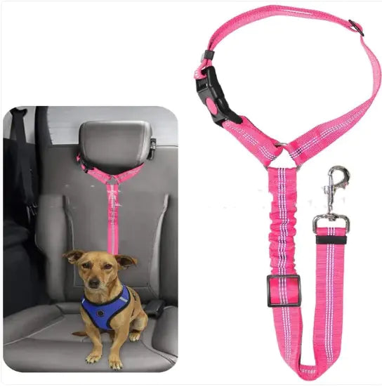 Pet Car Harness WEM Support (www.WEM.support)