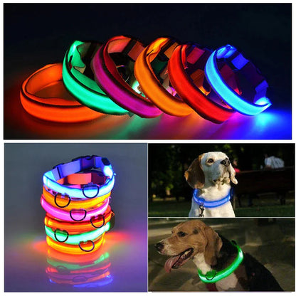 LED Adjustable Dog Collar Blinking Flashing Light Up Glow Pets Safety Waterproof WEM Support (www.WEM.support)