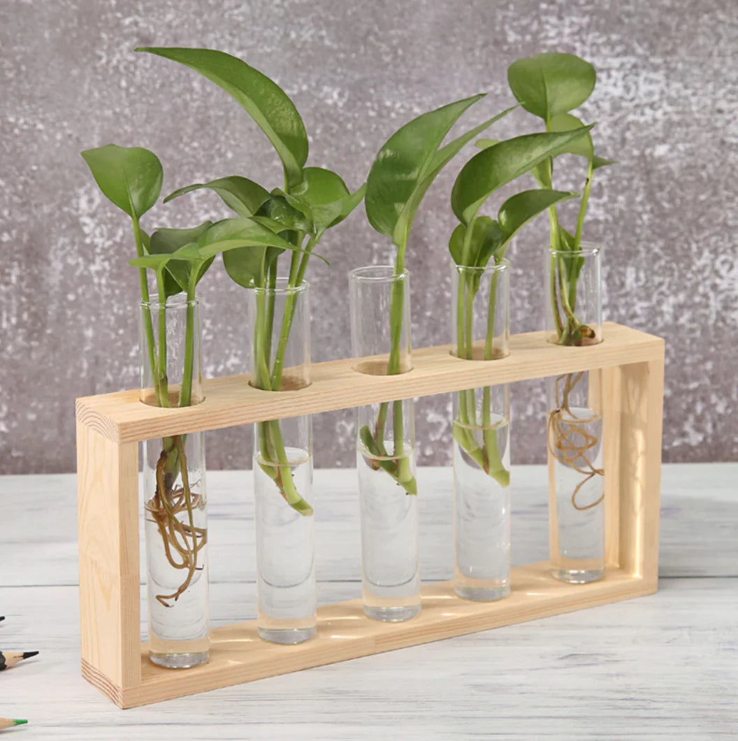 5 Vase set WEM Support (www.WEM.support)