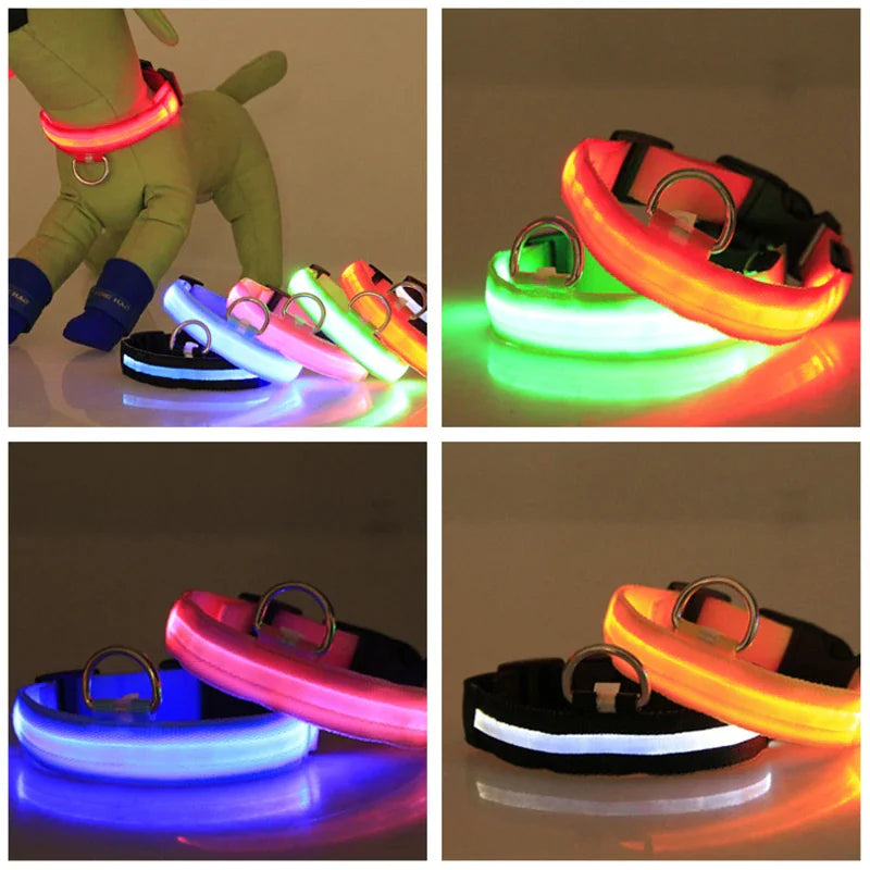LED Adjustable Dog Collar Blinking Flashing Light Up Glow Pets Safety Waterproof WEM Support (www.WEM.support)