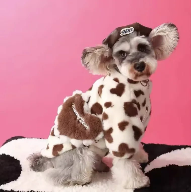 Pet autumn and winter warm clothes - Catch Cards