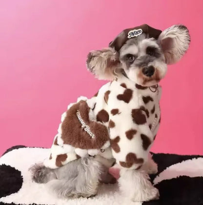 Pet autumn and winter warm clothes - Catch Cards