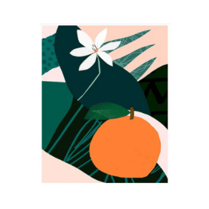 Plants Painting By Numbers - Catch Cards