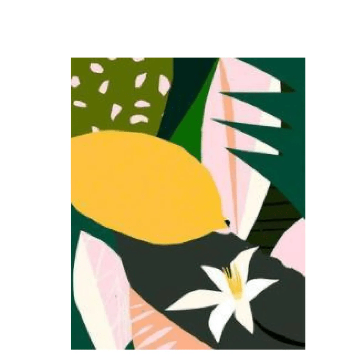 Plants Painting By Numbers - Catch Cards