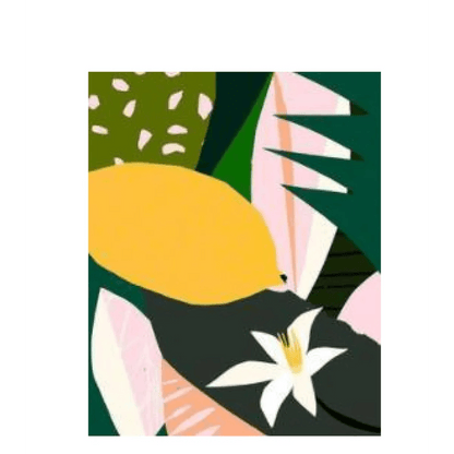 Plants Painting By Numbers - Catch Cards