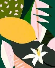 Plants Painting By Numbers - Catch Cards