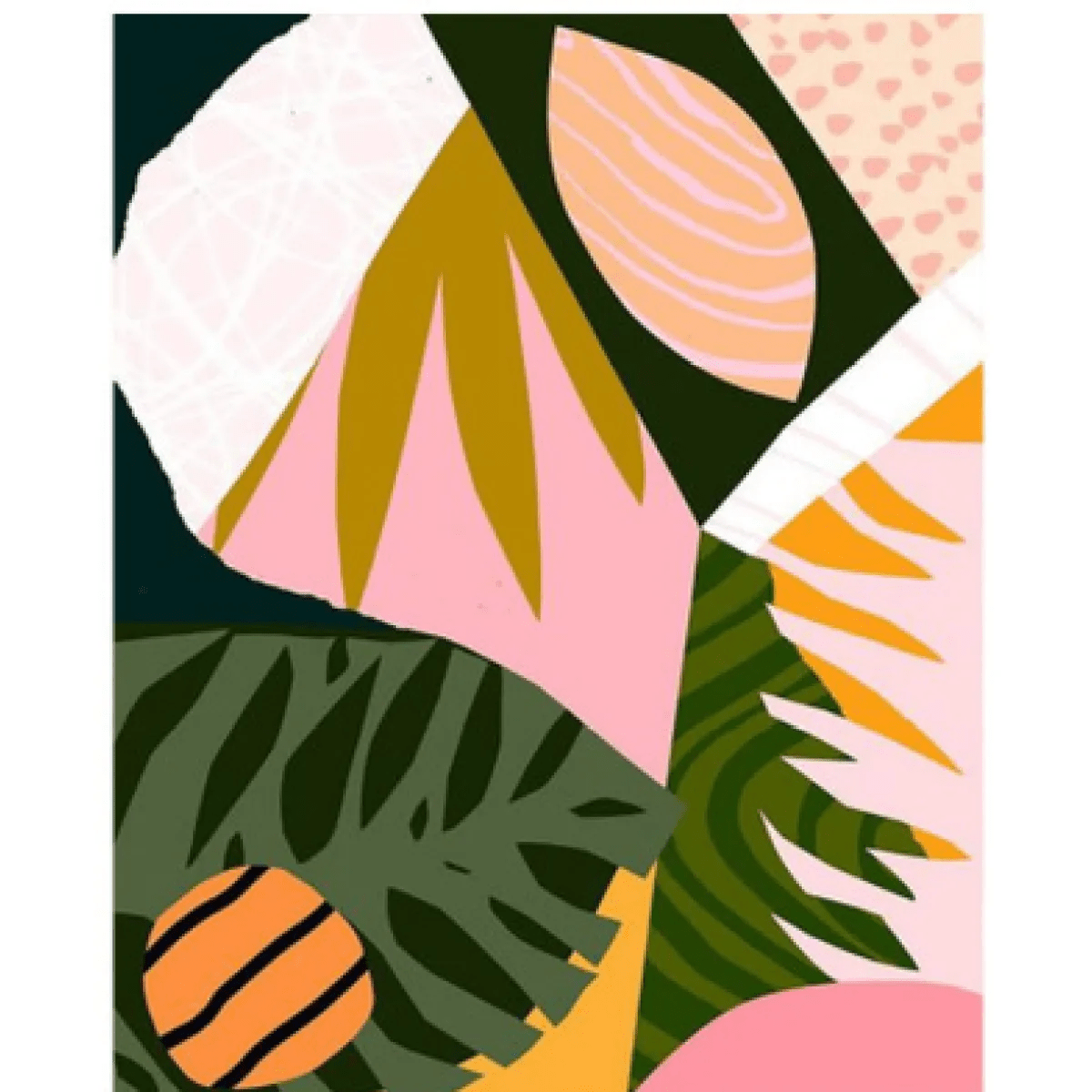 Plants Painting By Numbers - Catch Cards