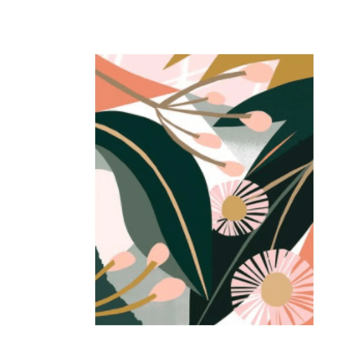 Plants Painting By Numbers - Catch Cards