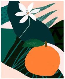 Plants Painting By Numbers - Catch Cards