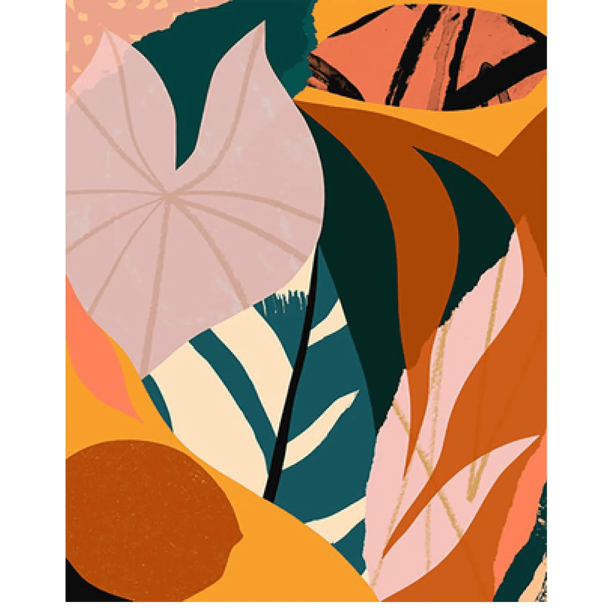 Plants Painting By Numbers - Catch Cards