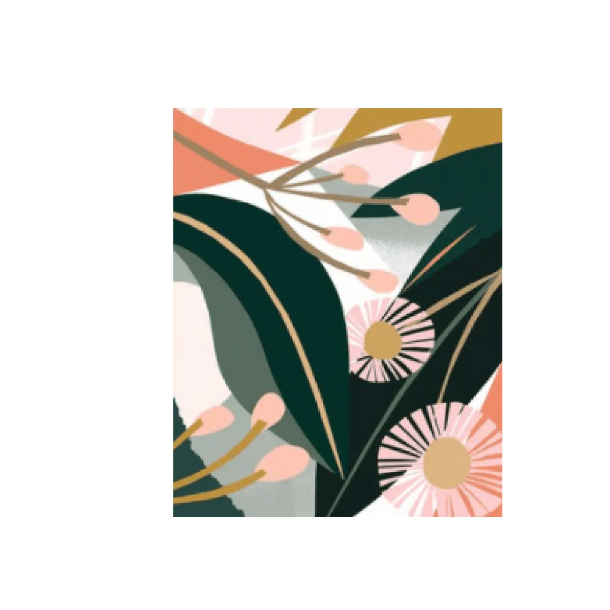 Plants Painting By Numbers - Catch Cards