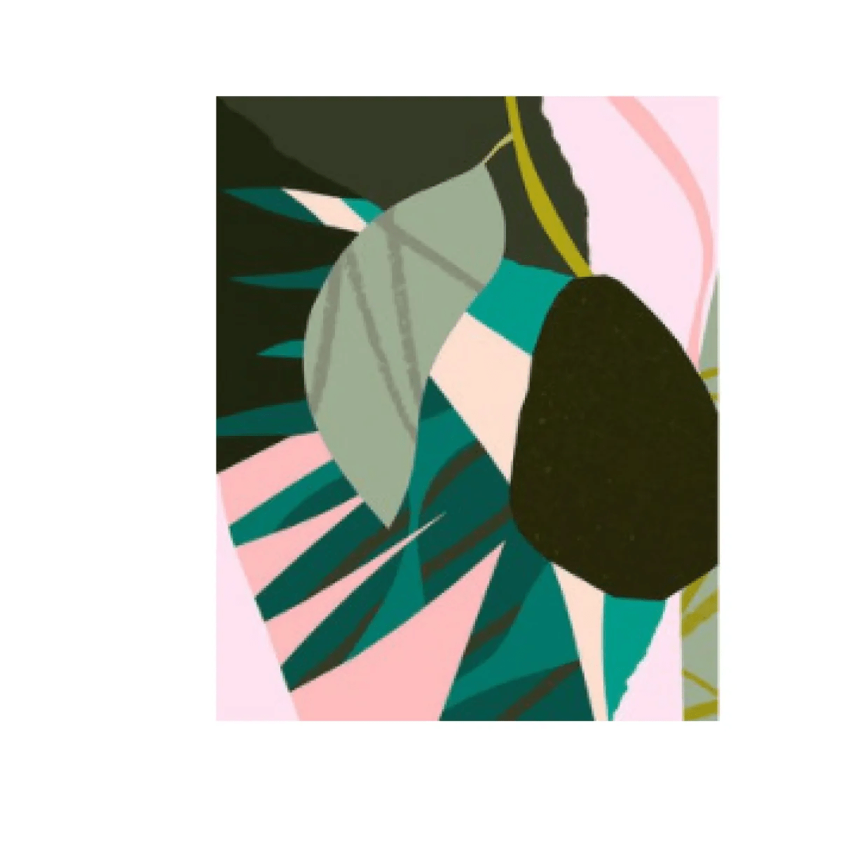 Plants Painting By Numbers - Catch Cards