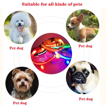 LED Adjustable Dog Collar Blinking Flashing Light Up Glow Pets Safety Waterproof WEM Support (www.WEM.support)