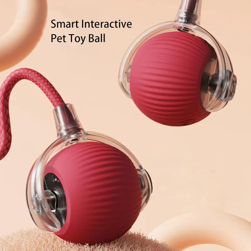 360 Smart Automatic Rolling Pet Ball WEM Support (www.WEM.support)