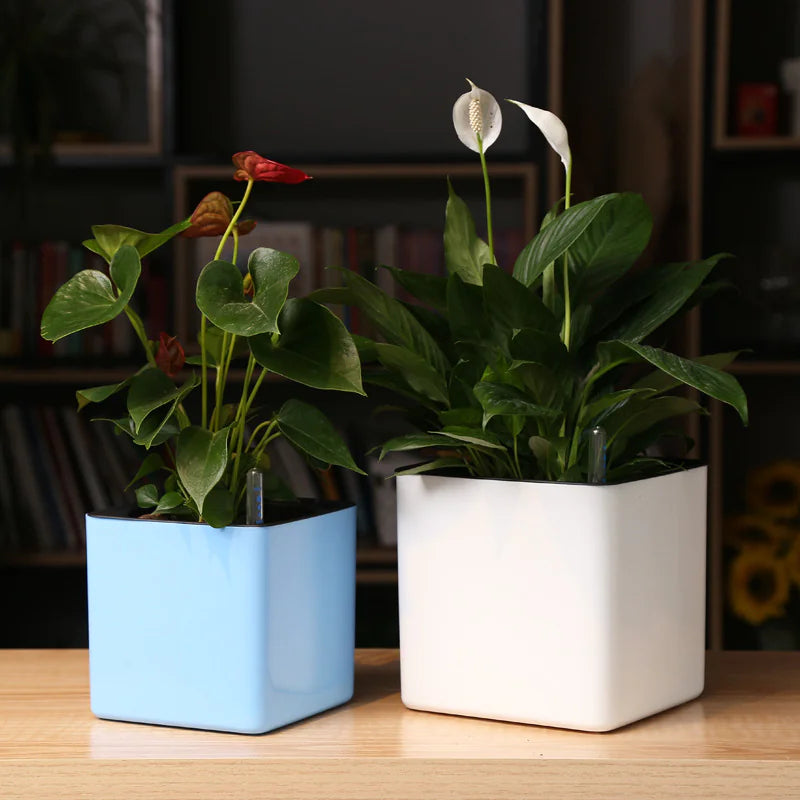 Water-Absorbing Planter HejK.com