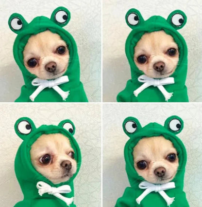 Cute Fruit Hoodie for Small Dogs WEM Support (www.WEM.support)