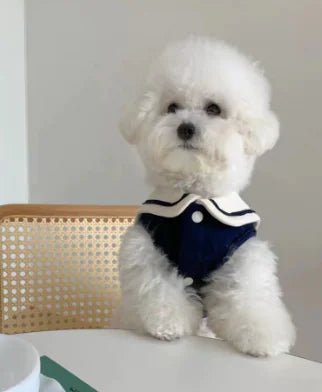 Sailor Collar Vest Thin Pet Clothing - Catch Cards