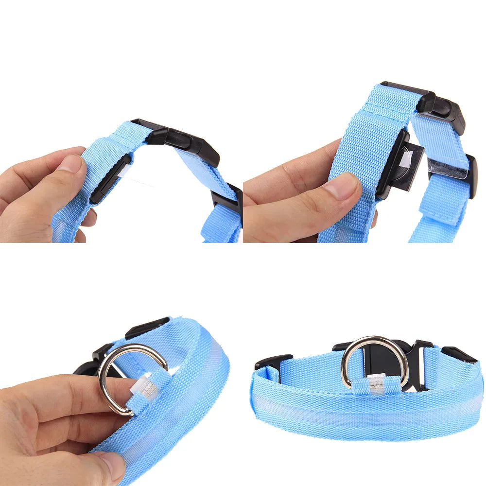 LED Adjustable Dog Collar Blinking Flashing Light Up Glow Pets Safety Waterproof WEM Support (www.WEM.support)